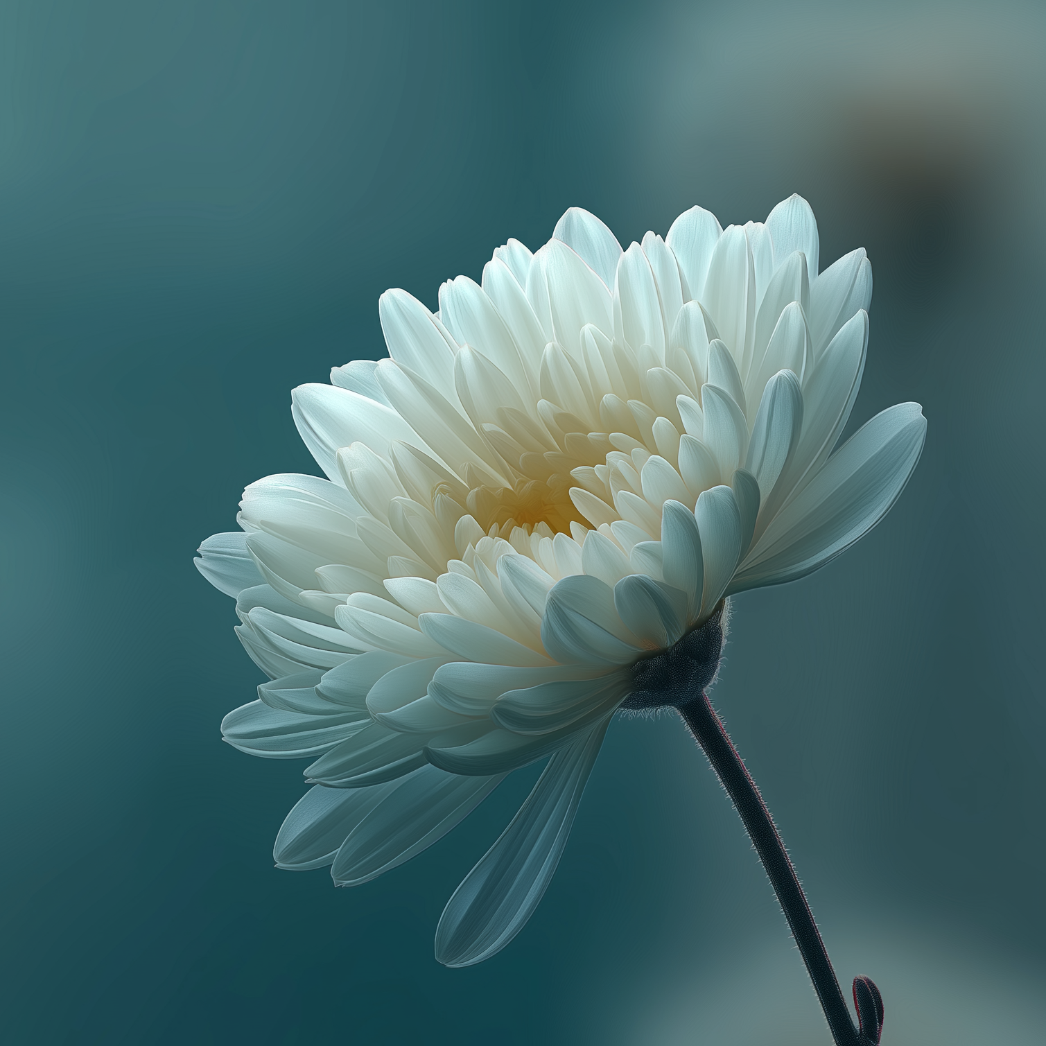 u2418536442 minimalistic blurred single color background accent 66ddae44 f99e 4107 990f 0ff0eb33b5ca